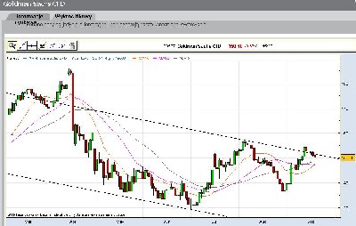 GoldmanCFD.jpg