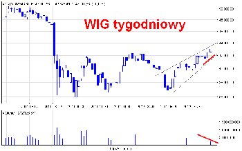 wig_w.png