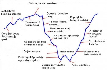 2595172_sinusoida2.jpg