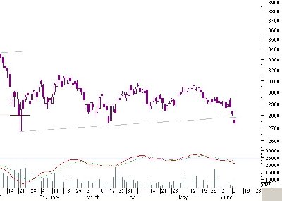 w20daycandle.jpg