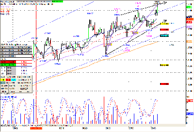 Mie-2010-09-14_100927.png