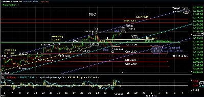 pug-sp-500-15min.jpg