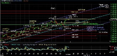 pug-sp-500-15min.jpg