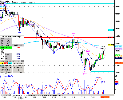 Mie-2011-03-23_073932.png