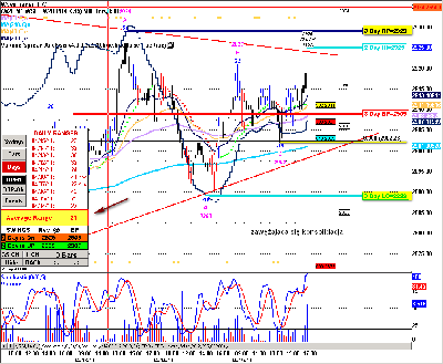 Mie-2011-04-18_074203.png